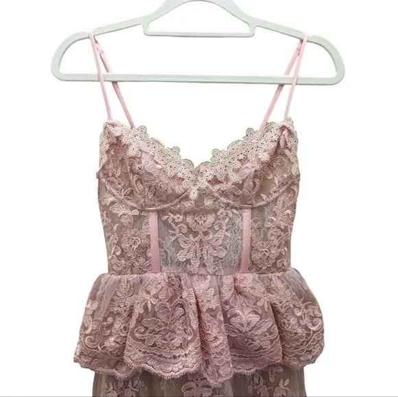 NWT V. Chapman Pink Lace Poppy Corset Peplum Mini Dress Size 2